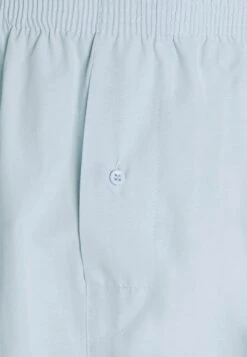 Pier One 5 Pack - Boxer - Light Blue/White 15 Pier One 5 Pack - Boxer - Light Blue/White -Pier One 8d526a81d413439291c57bcecfa7d443